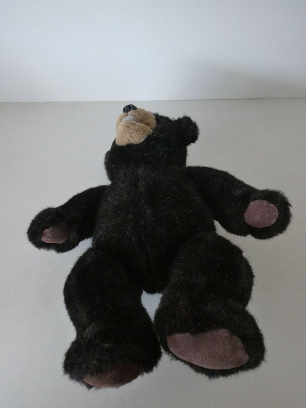 Giocattoli: Teddy Bär Molly by Beaver Valley – Nuovo (secondo la descrizione) da Basel venduto da Robyn 2