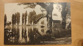 Weisses Haus Altenrhein bei Hochwasser um 1920