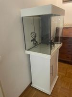 Aquarium + meuble
