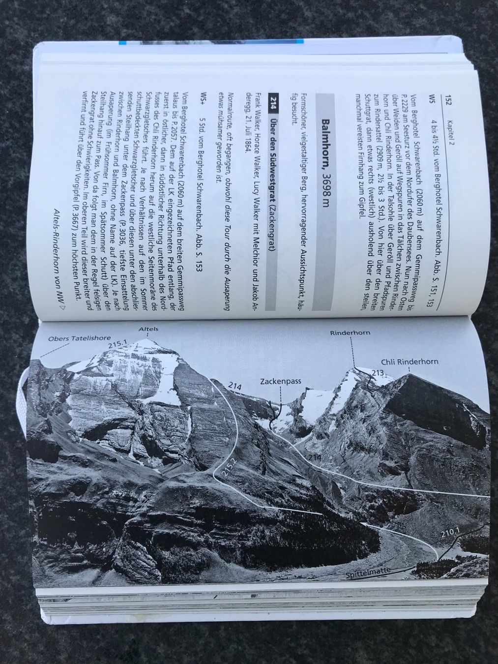 Libri: SAC Berner Alpen Tourenführer – Usato da Dürrenäsch venduto da chinook65 2