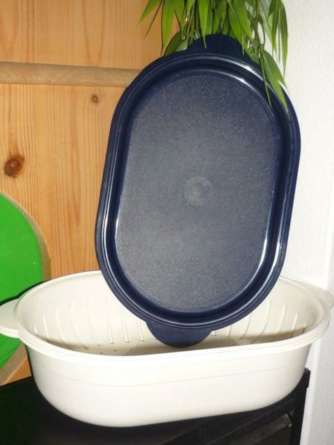 Tupperware Contenitori & Simili: TUPPERWARE 20X29. H. 10 CM. CA. – Usato da St.Gallen venduto da Anso 3