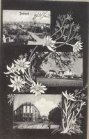 Zürich Seebach, Souvenir Karte, 1912, Guggenheim