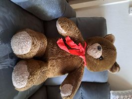 Teddy Bär