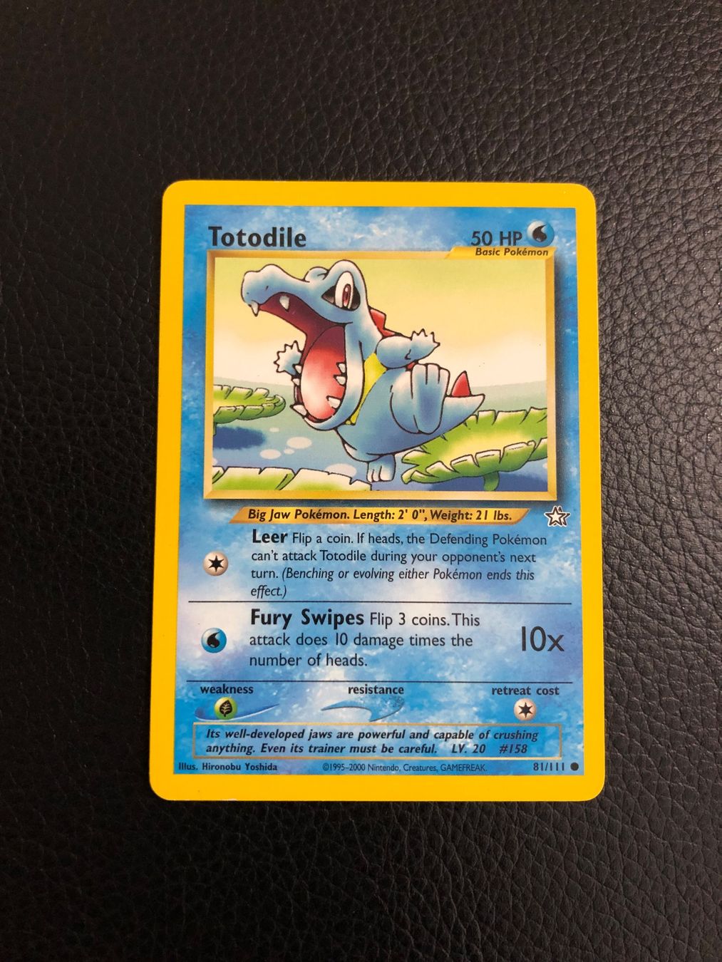 Pokémon Carte collezionabili: Neo Genesis Totodile 81/111 Ab 1 – Usato da Paradiso venduto da Pkmn10