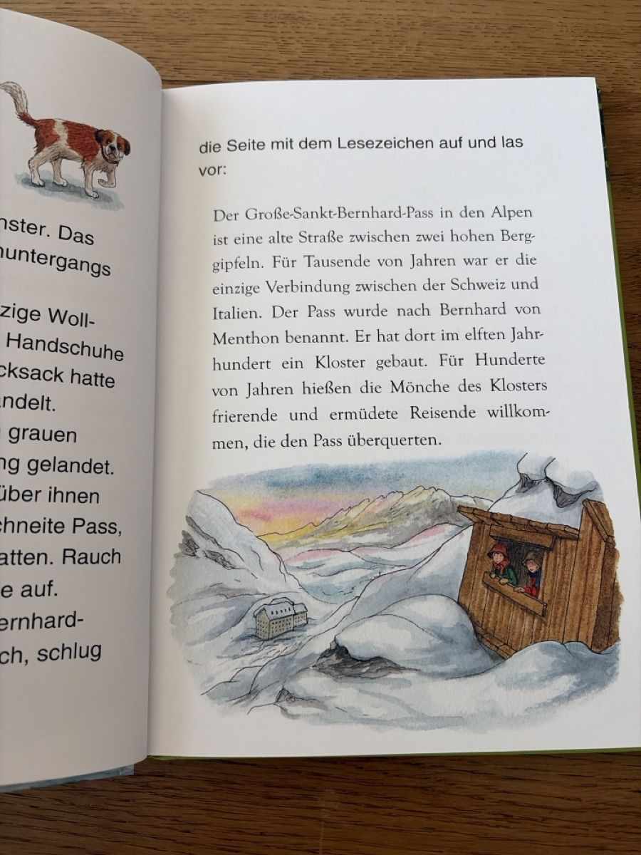 Bücher: Das magische Baumhaus junior – Gebraucht aus Gachnang von Skyjumper 1