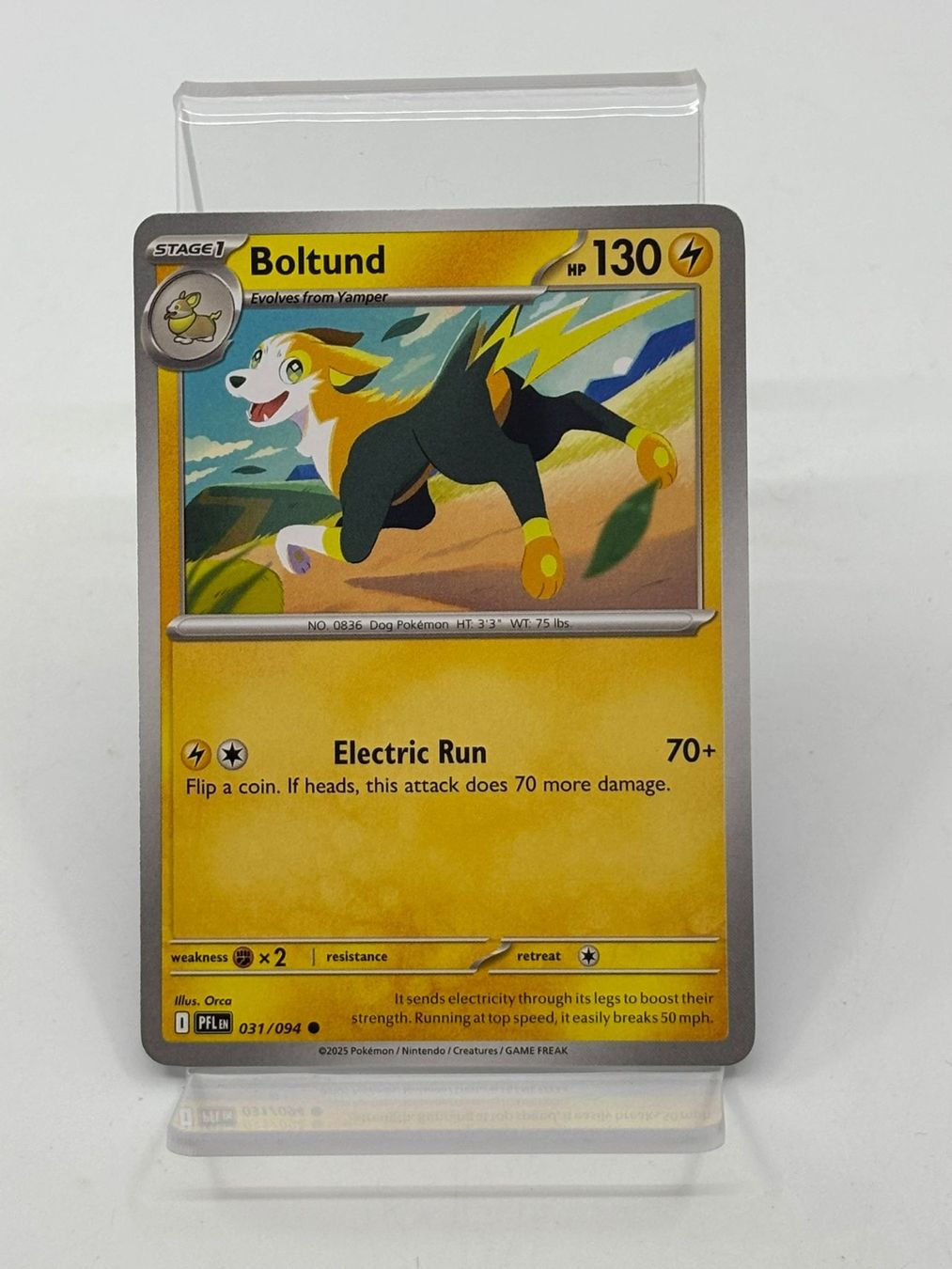 Pokémon Carte collezionabili: Pokemon Boltund 031/094 – Usato da Herisau venduto da Pokemon2026