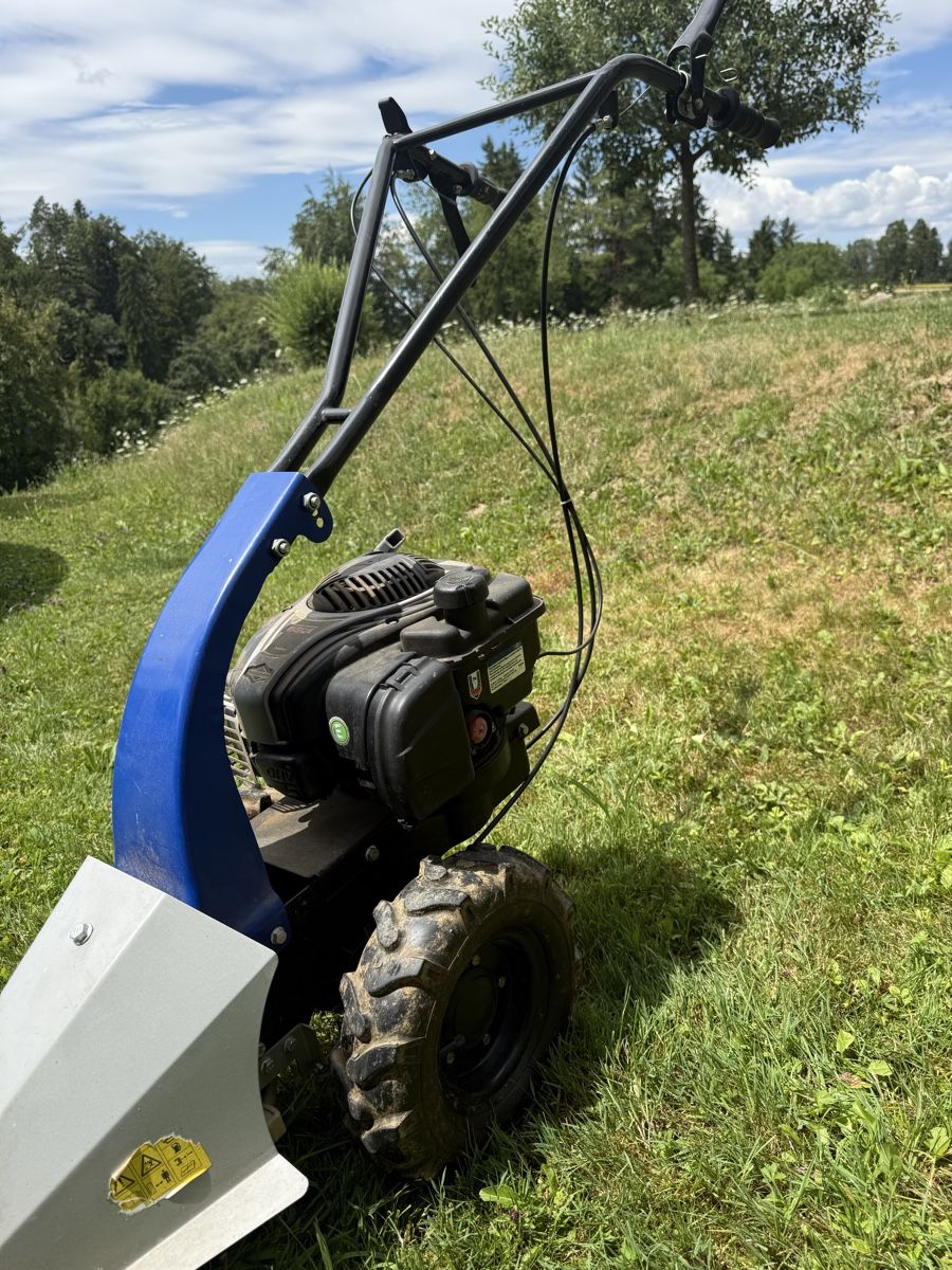 Lux Rasenmäher: Balkenmäher mit Briggs & Stratton Motor – Gebraucht aus Dickbuch von Kellerstar