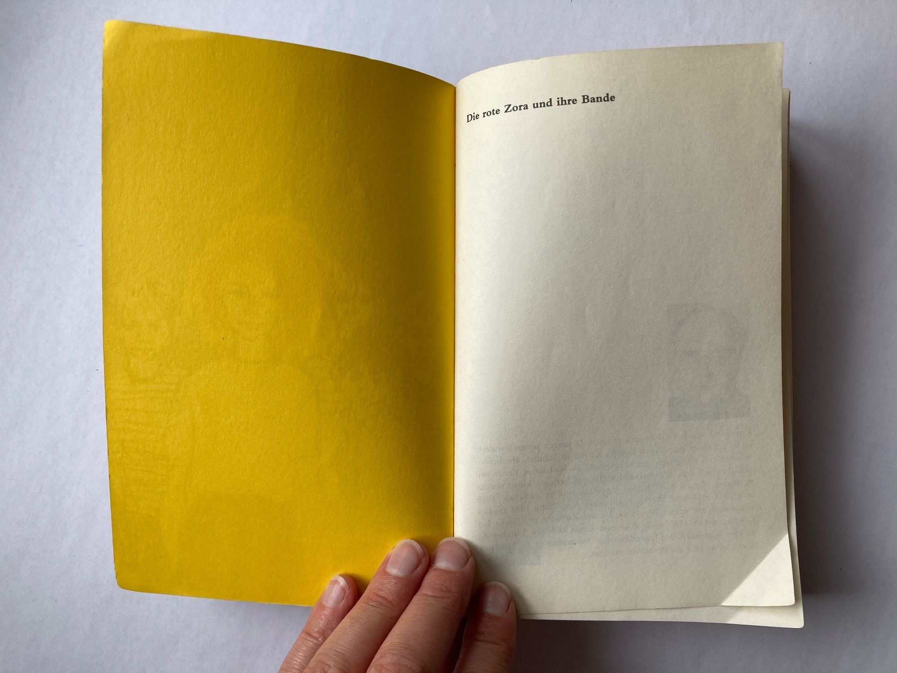 Libri: Die rote Zora - Kurt Held – Usato da Bubendorf venduto da Alpenheidi 2