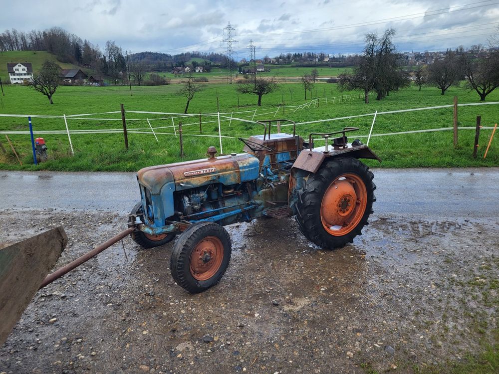 Fordson Dexta | Kaufen auf Ricardo