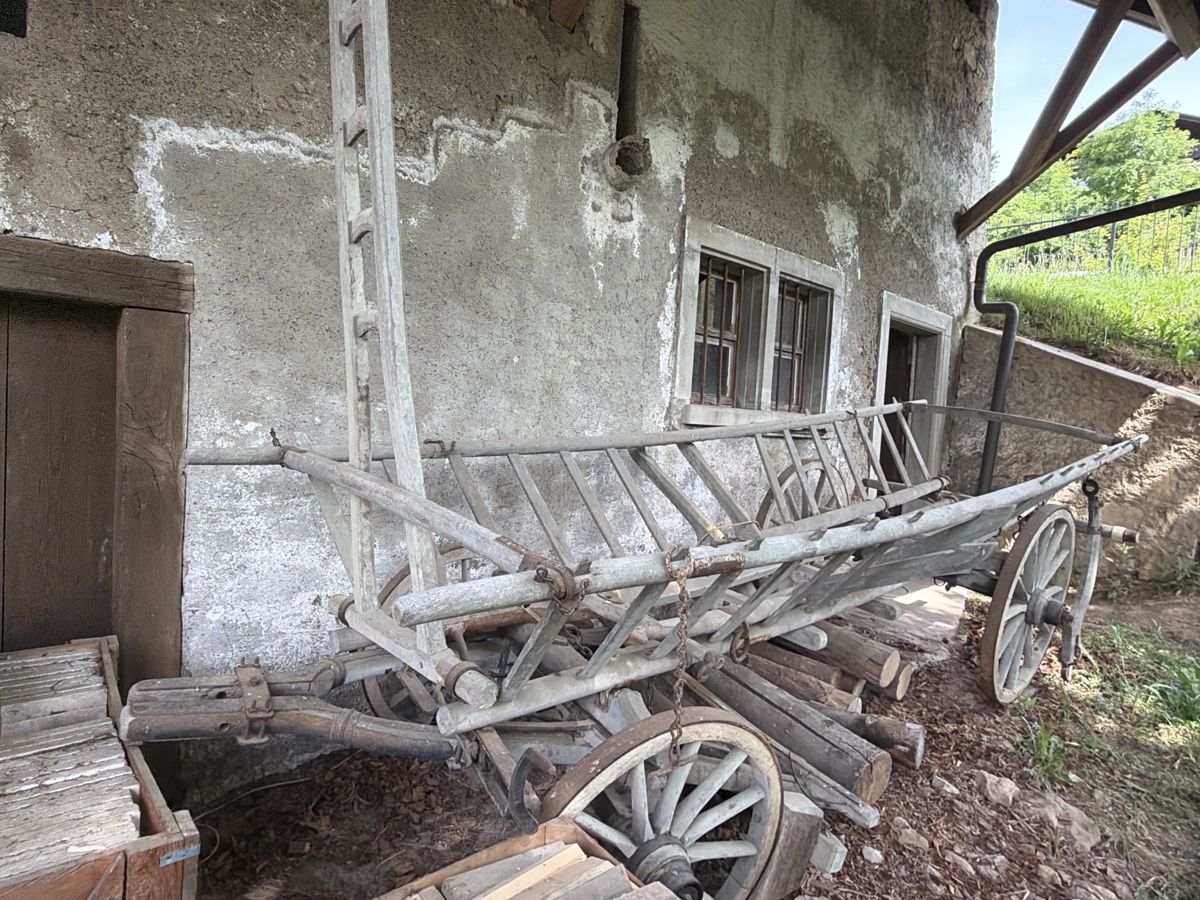Rimorchi: Holzwagen – Usato da Arisdorf venduto da Lerpi 1