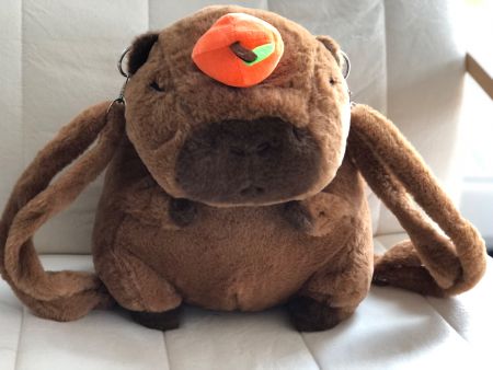 Sac à dos  Capybara, Collectionnez-le!
