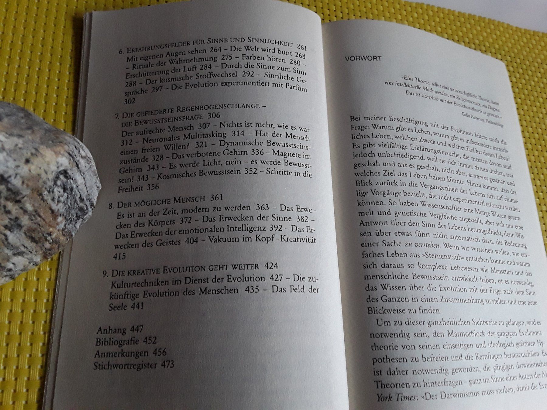 Libri: Intelligente Evolution – Nuovo (secondo la descrizione) da Rebstein venduto da Buchsi03 3