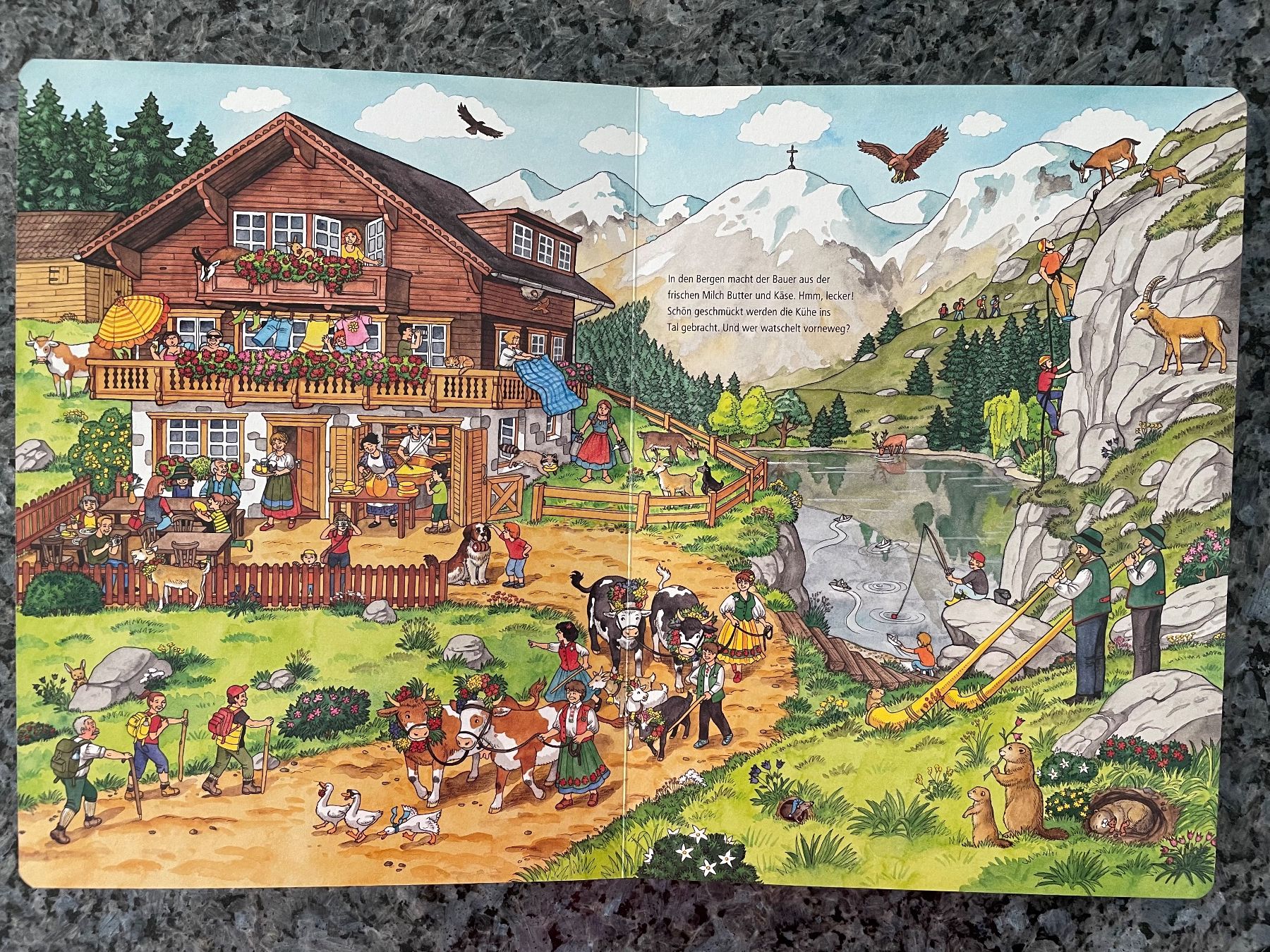 Libri: Mein extradickes Wimmelbuch – Usato da Aarau Rohr venduto da Rokazo 6