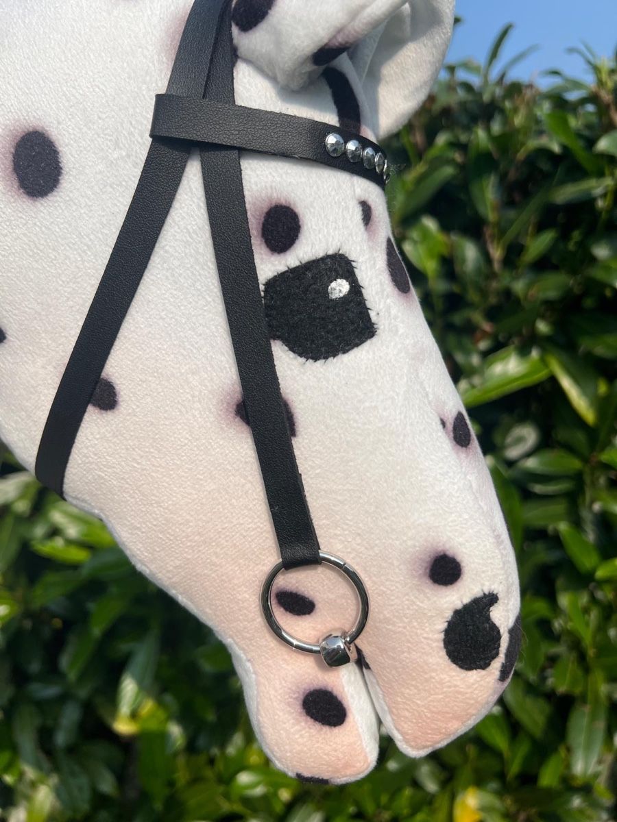 Giocattoli: Hobbyhorse Fabio - top Zustand – Usato da Muttenz venduto da steve0074 8