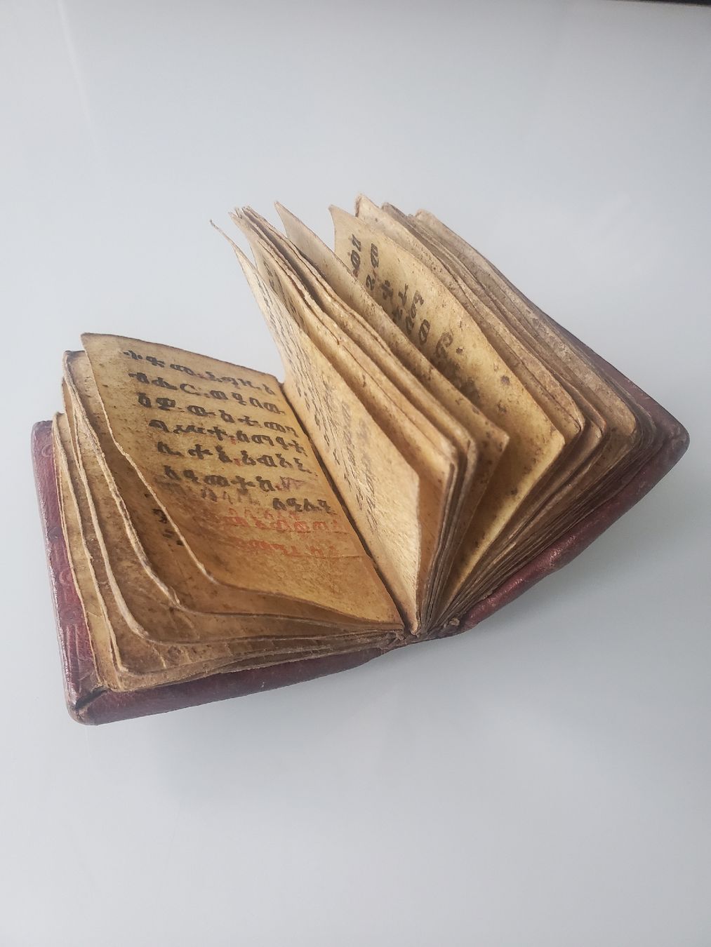 Libri: Äthiopisches Gebetsbuch, antik – Usato da Frauenfeld venduto da BeneFull