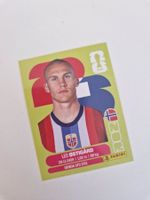 Panini Sticker NOR4