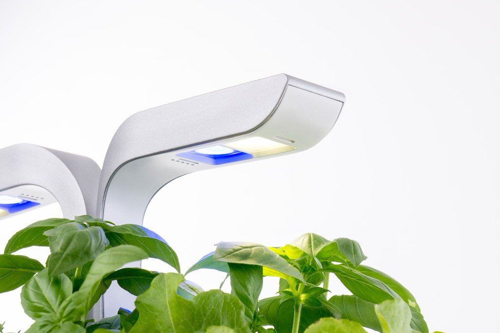 Vasi per fiori: Véritable Indoor Garten mit 4 Lingots, NEU – Nuovo e nell'imballaggio originale da Eschenbach LU venduto da Elysa1995 1