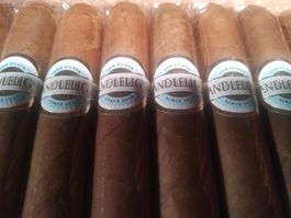 50  Zigarren Corona Sumatra Candlelight