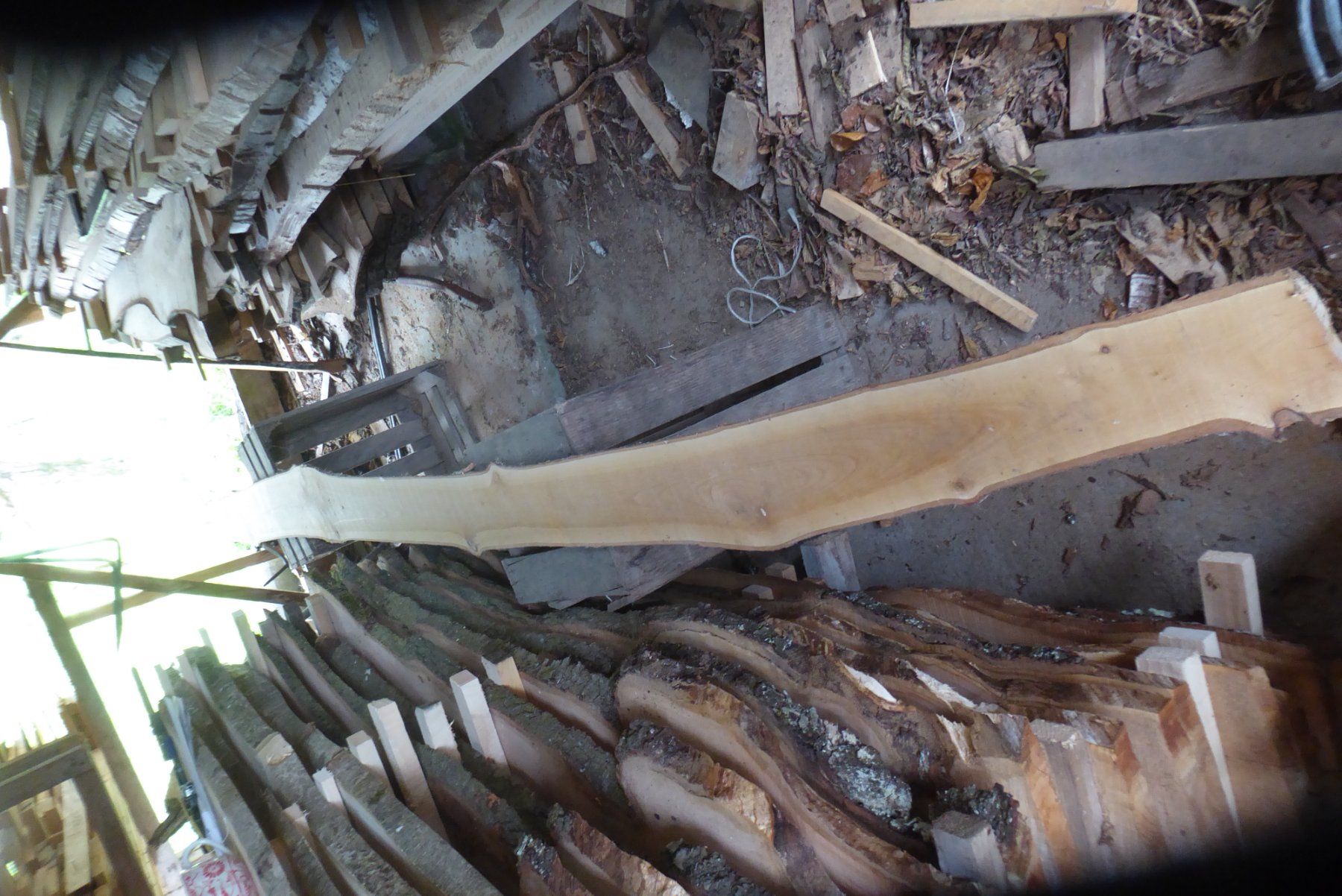 Articoli in legno: Kirschbaumbrett 16 mm – Nuovo (secondo la descrizione) da Sumiswald venduto da Hennri1