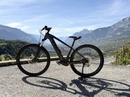 E-Bike Trek Powerfly 4 Gen 3 – 625 Wh – 29” – M – 1’423 km