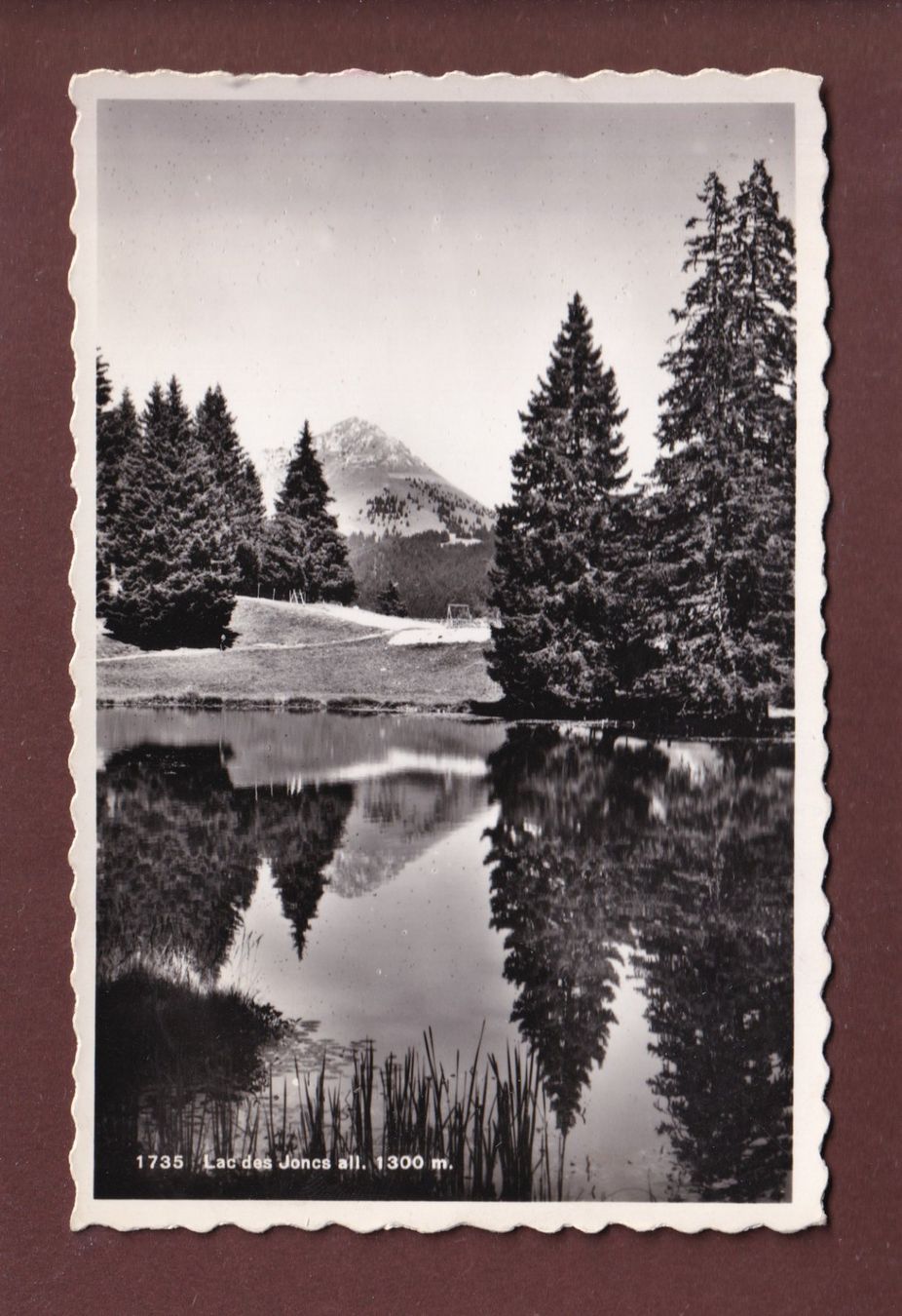 Cartoline postali: LAC DES JONCS - 1951 – Usato da Pully venduto da nicecards