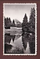LAC DES JONCS - 1951
