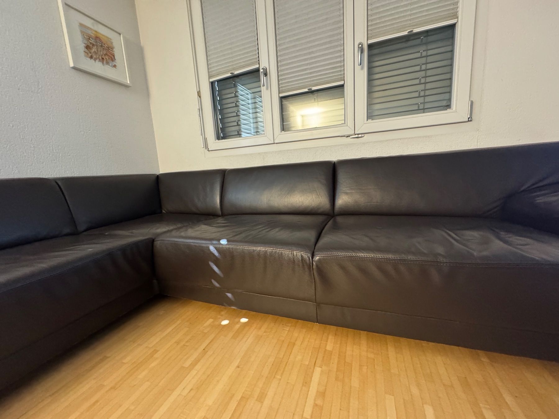 Divani: Ledersofa – Usato da Kestenholz venduto da cvx_889vv 1