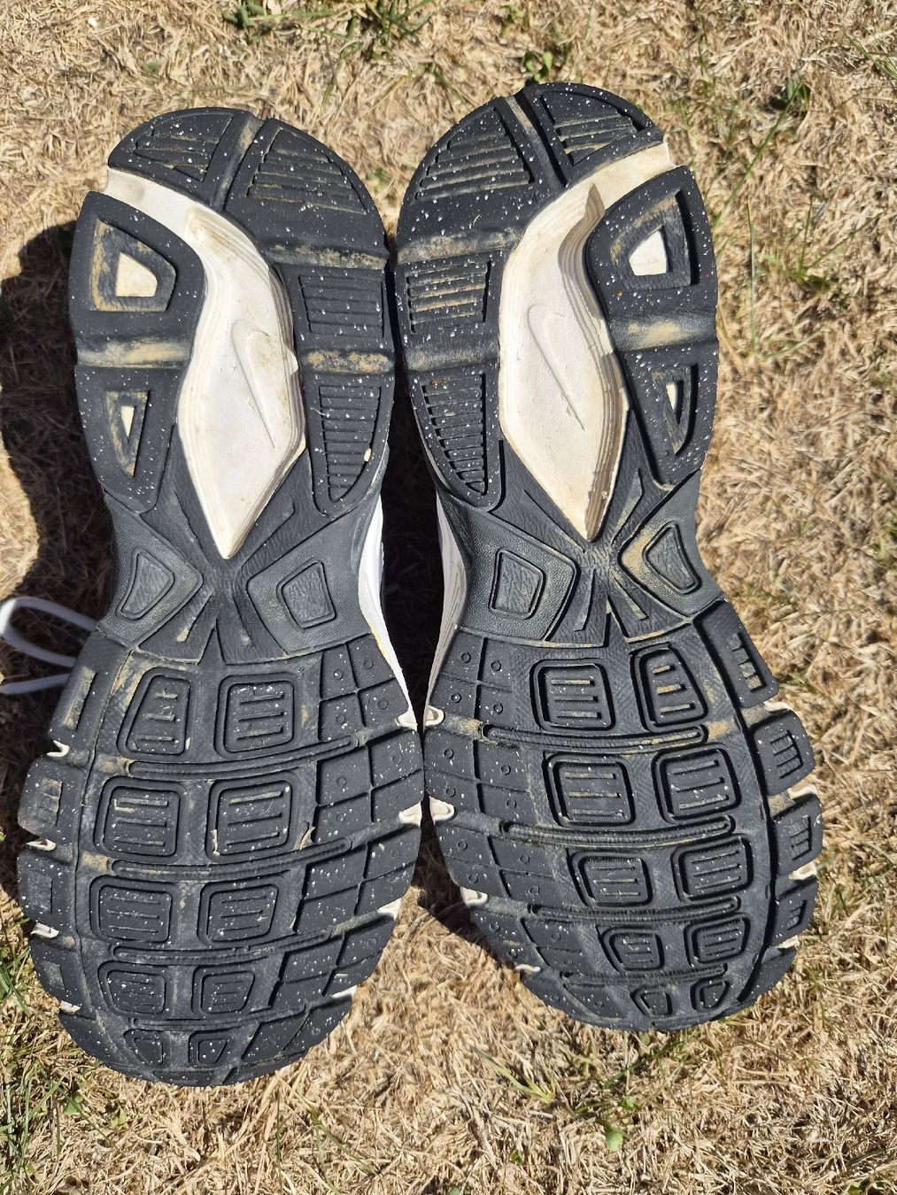Nike Herrenschuhe: Nike Schuhe Grösse 42 – Gebraucht aus Frauenfeld von sts123 3