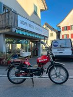 Sachs 503 Alpa Turbo mit Ausweis