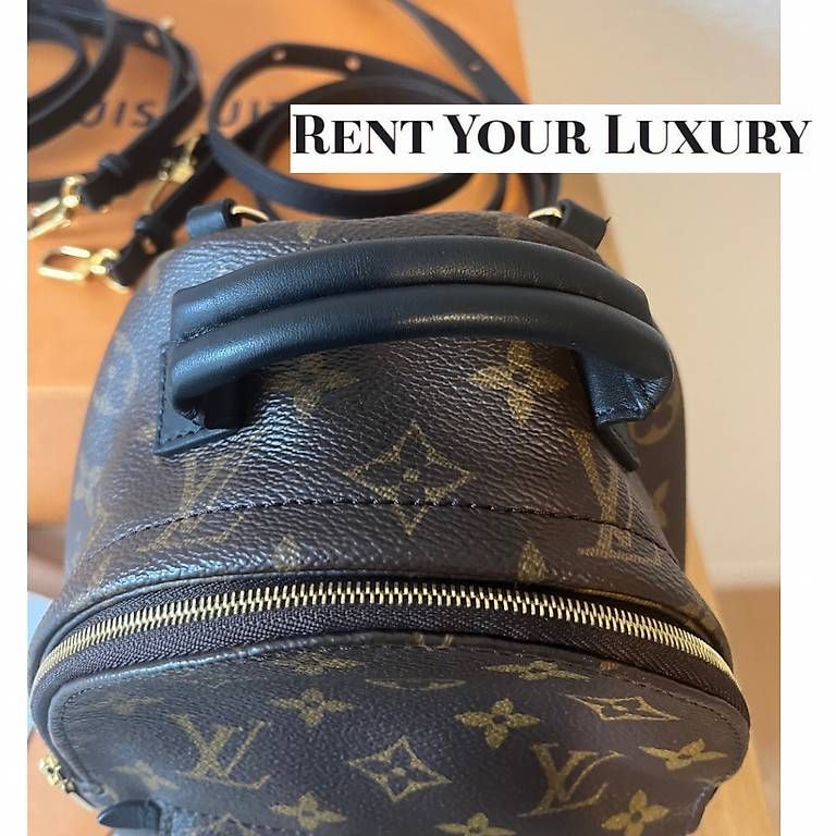Louis Vuitton Zaini: Louis Vuitton Palm Spring mini – Usato da Balzers venduto da mc-mary 2