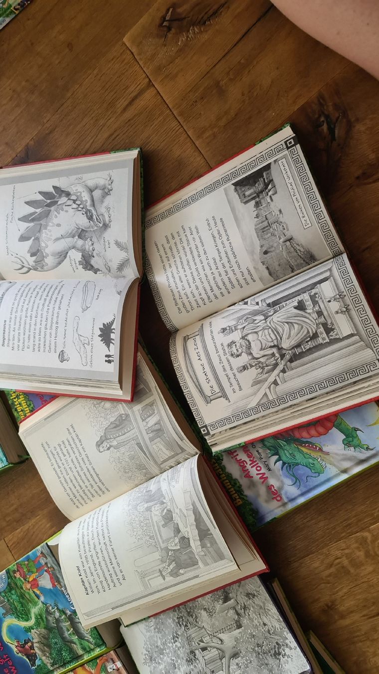 Libri: das magische baumhaus bücher set – Usato da Wittenbach venduto da Tigerlili 4