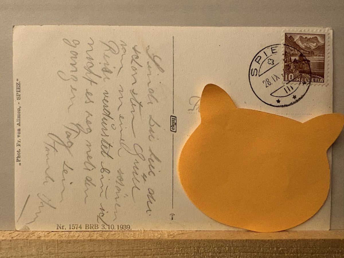 Cartoline postali: AK von Spiez – Usato da Rümlang venduto da Brieftaube1 1