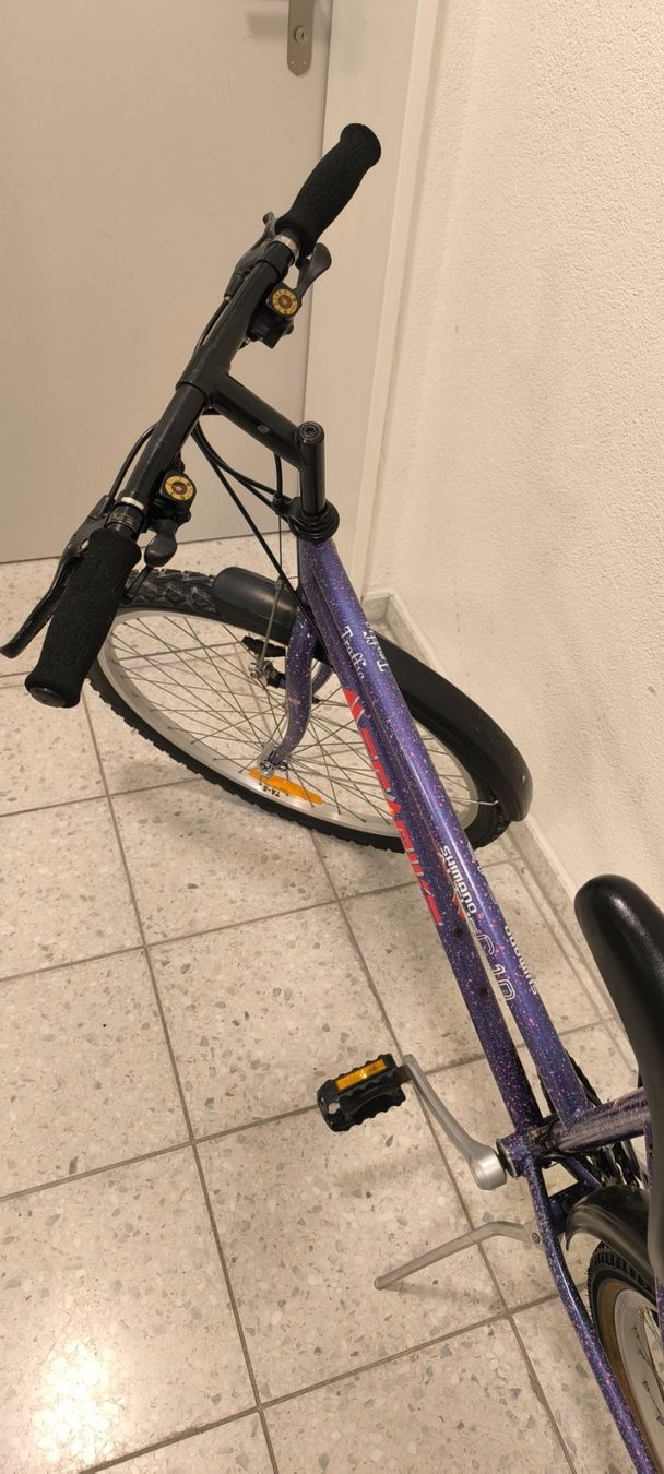 Biciclette: Damenvelo – Usato da Zweidlen venduto da xp4 2