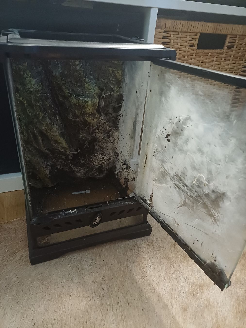 Terrario: Exo Terra Terrarium 20x20x30 – Usato da Thalwil venduto da Skorp96 2