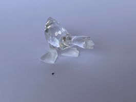 Swarovski Tierfigur Gans klein Sammlerstück (defekt)