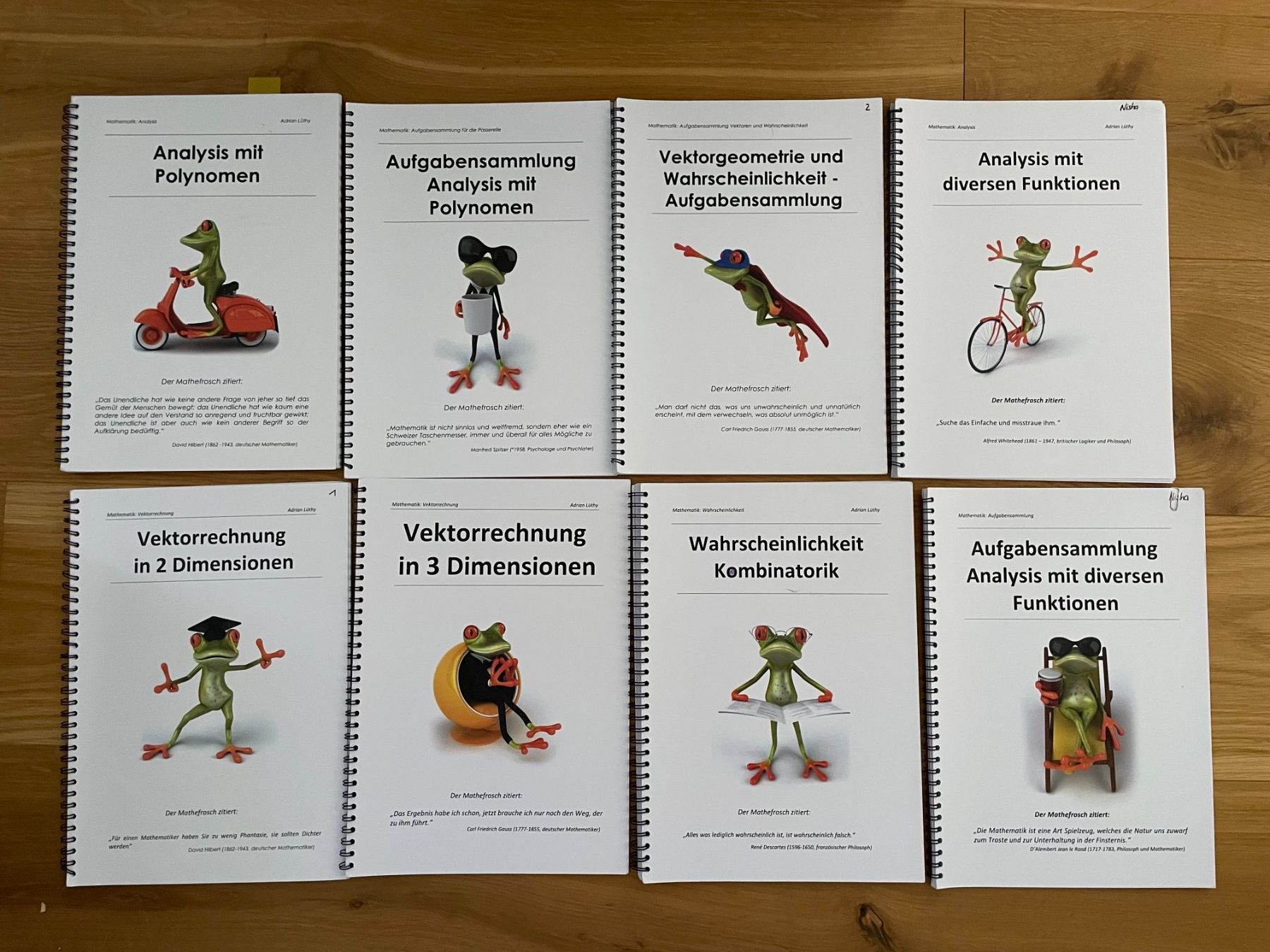Libri: Mathefrosch Lehrmittel (Passerelle Aarau) – Usato da Erlinsbach SO venduto da Joenisecondhand
