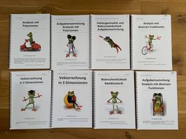 Mathefrosch Lehrmittel (Passerelle Aarau)