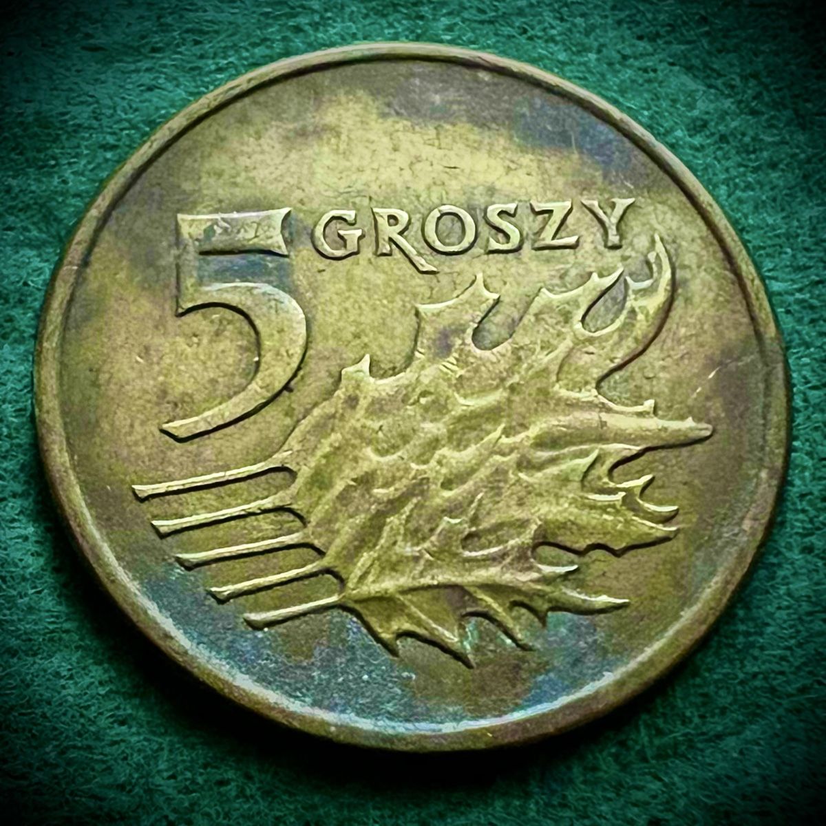 Tutti le monete: 5 GROSZY 2009 POLEN – Usato da Gossau SG venduto da NUMOPOL 1
