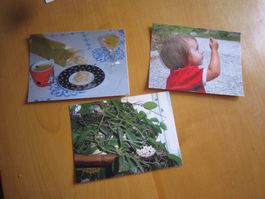 S1 schöne Swisspostcards 2006