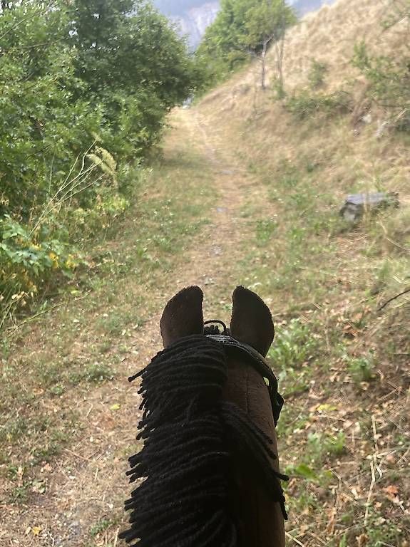 Spielzeuge: Hobby Horse HOCHWERTIG – Gebraucht aus Susten von Kht_formidable 3