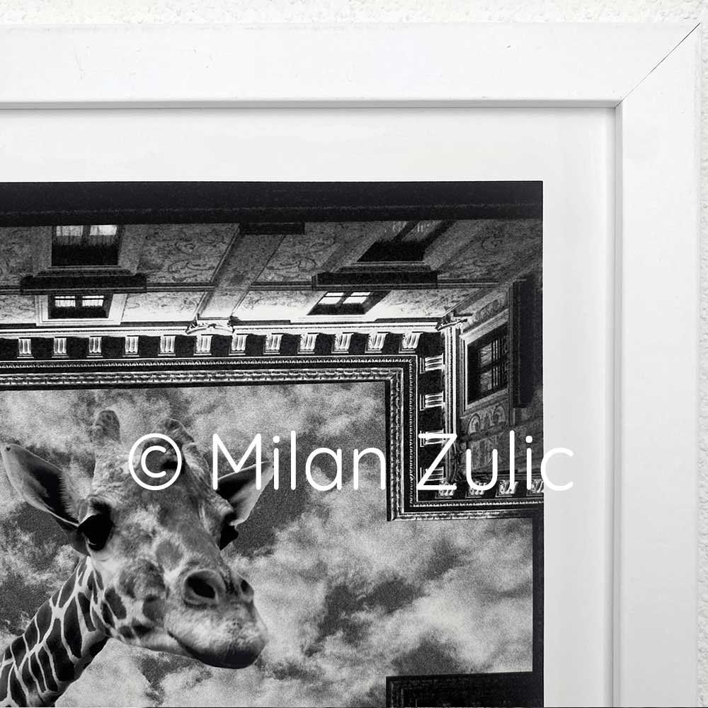 Foto & Immagini: Travel postcards 013 – Nuovo (secondo la descrizione) da Uetikon am See venduto da mil_7k2b 4