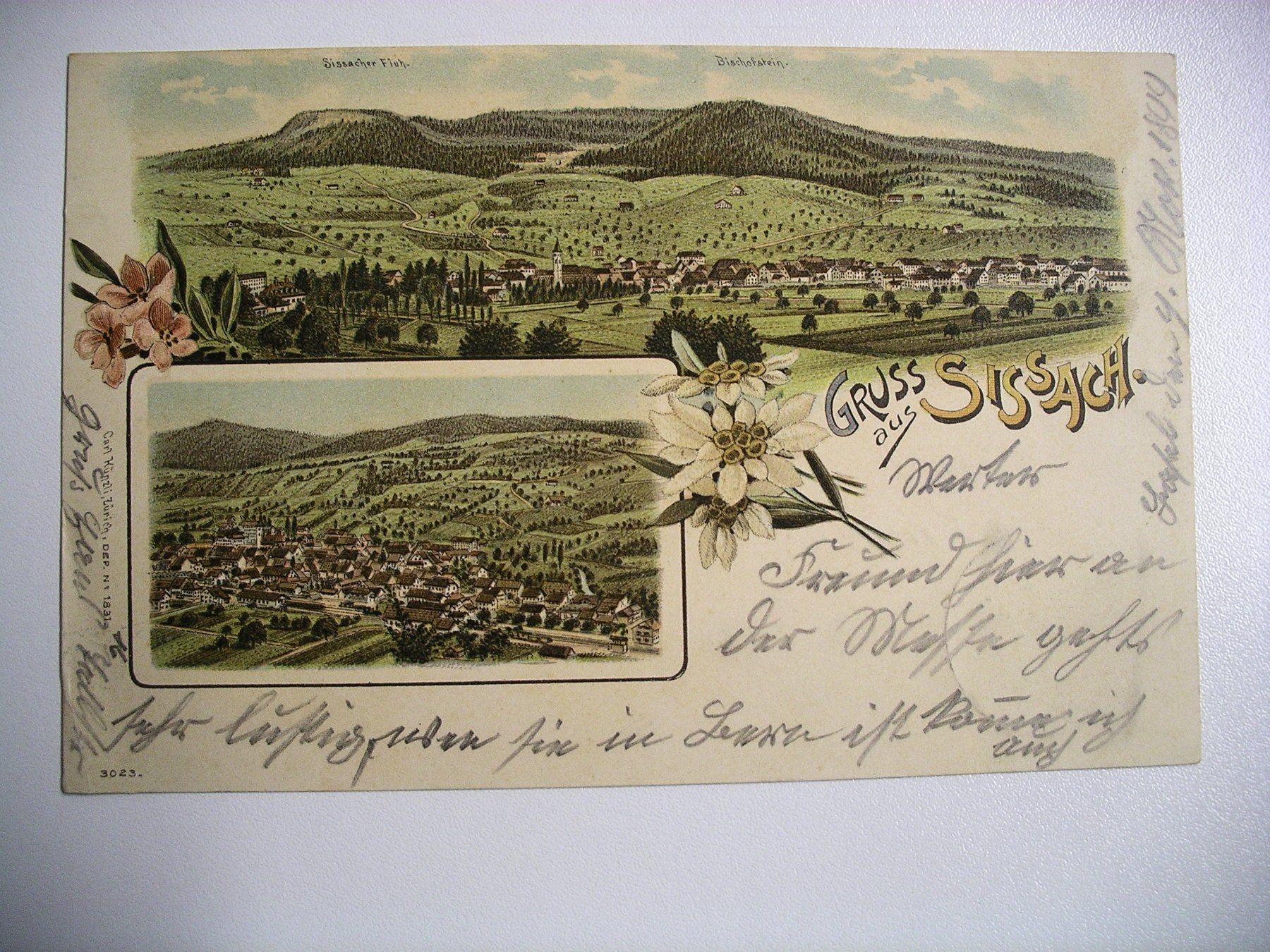 Cartoline postali: farbigeLithoAK  SISSACH – Usato da Oberhofen am Thunersee venduto da luuping99