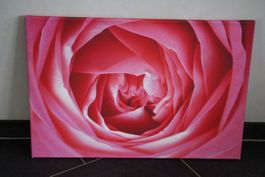 Fotoleinwanddruck 40 x 60 cm