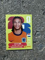 NED 7