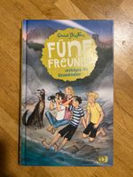 Fünf Freunde verfolgen die Strandräuber, Kinderbuch top