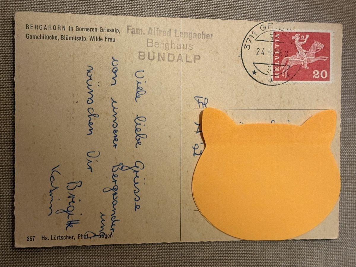 Cartoline postali: AK von Bergahorn Bergpanorama – Usato da Rümlang venduto da Kartenpost1 1