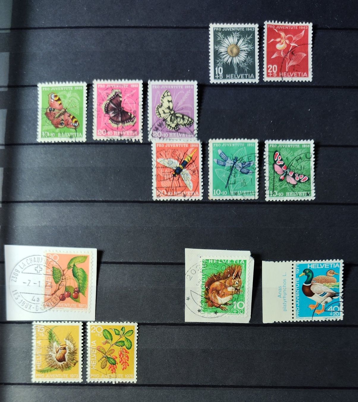 Tutti i francobolli: Pro Juventute Briefmarken – Usato da Lenzburg venduto da Dani_Lenzburg 1