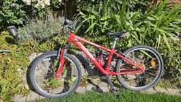 Kinderfahrrad Specialized Hotrock rot 24 Zoll
