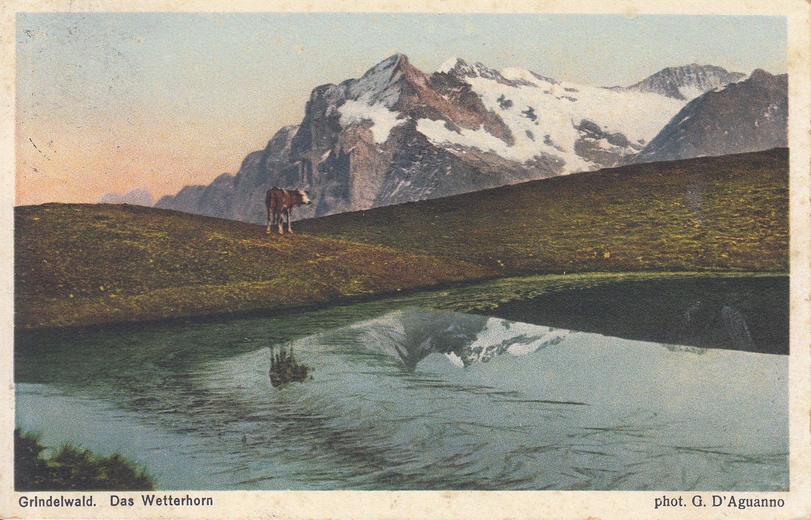 Cartoline postali: Wetterhorn 1935 – Usato da Bürglen TG venduto da StampGraf