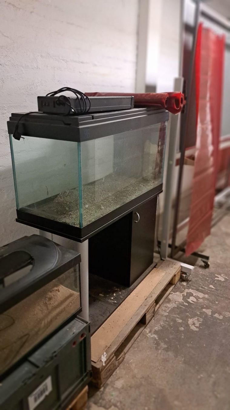 Aquarium: Aquarium mit Untermöbel – D'occasion à Oberentfelden par Myri13 1
